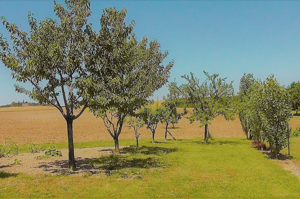 Photo of Outdoor in Agme