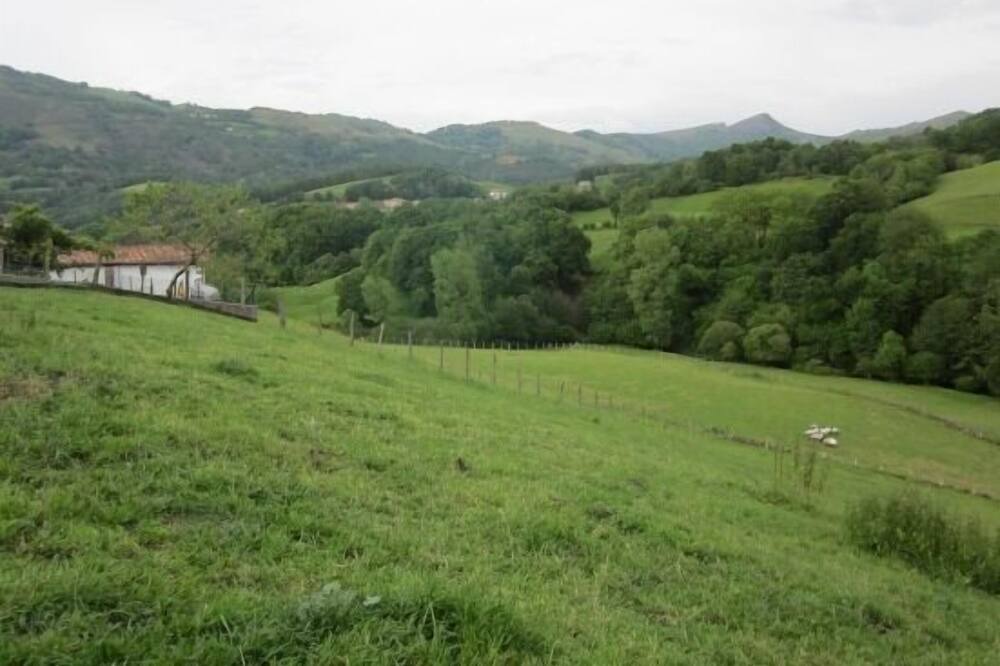 Photo of Outdoor in Errazu