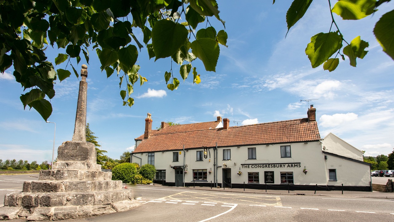 Photo of Outdoor in Congresbury