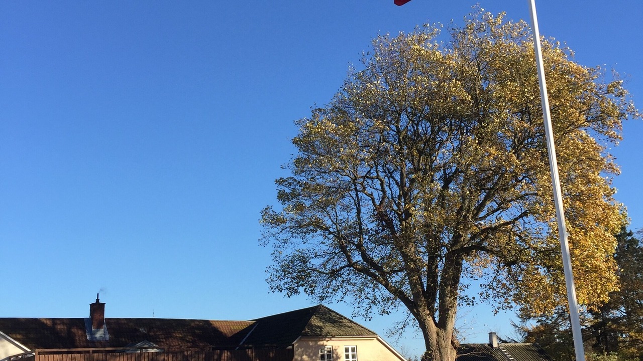 Photo of Outdoor in Bjert