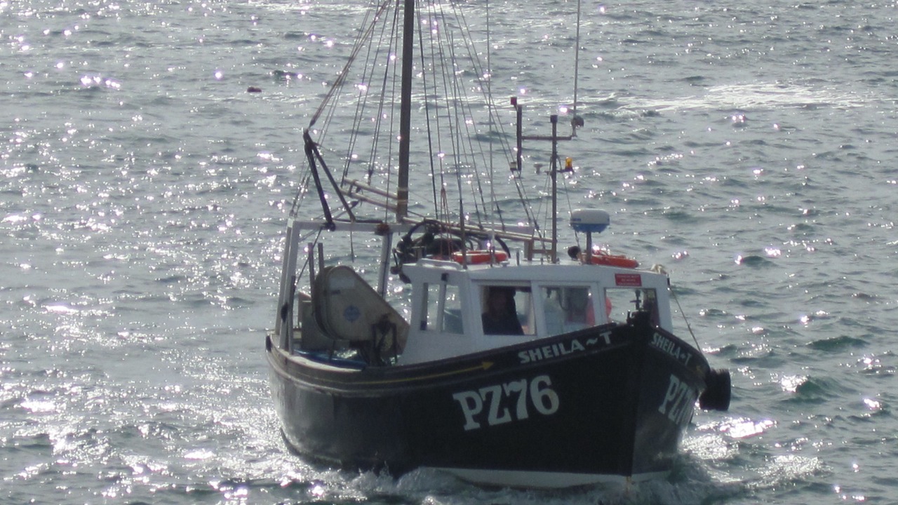 Photo of Others in Trenwheal