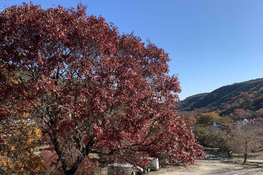 Photo of Outdoor in Tarpley