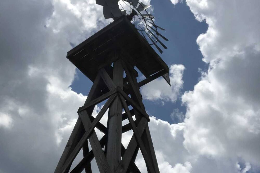 Photo of Others in Tarpley