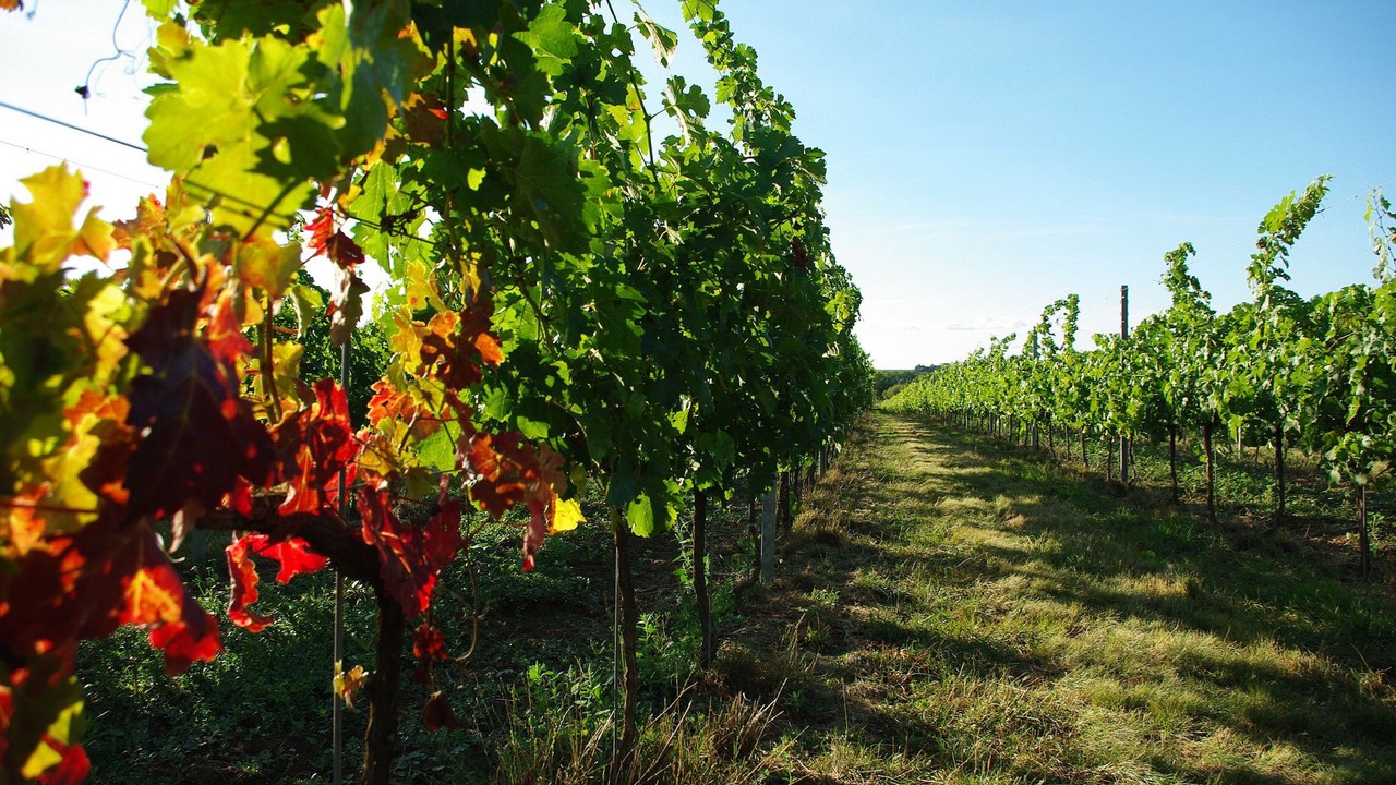 Photo of Outdoor in Mauriac