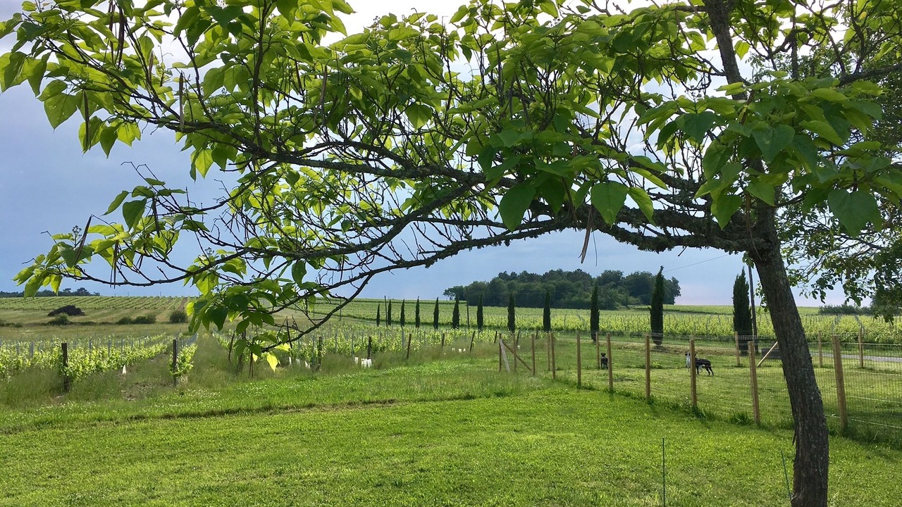 Photo of Outdoor in Mauriac