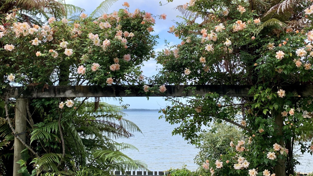 Photo of Outdoor in Welcome Bay