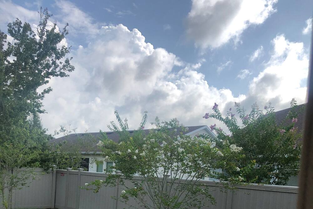 Photo of Outdoor in Wesley Chapel