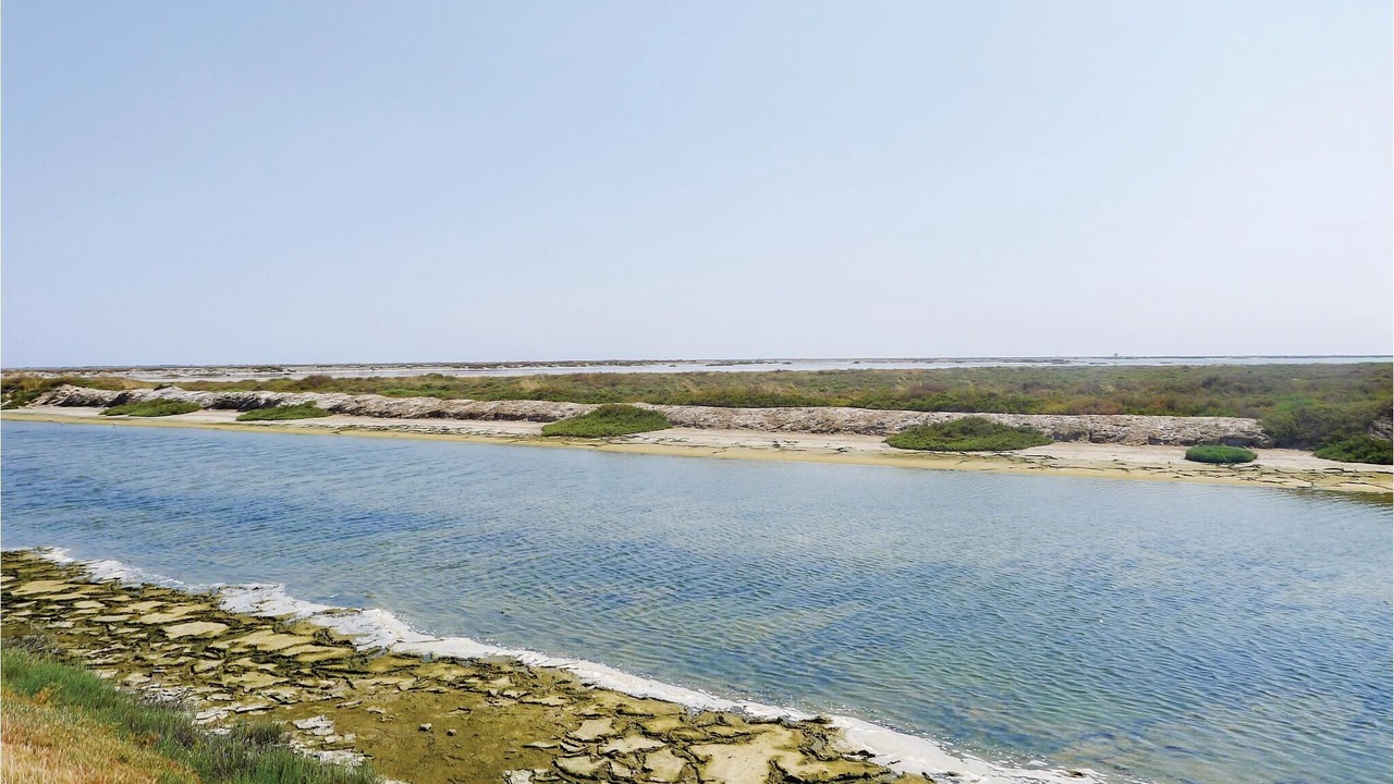 Photo of Others in Le Sambuc