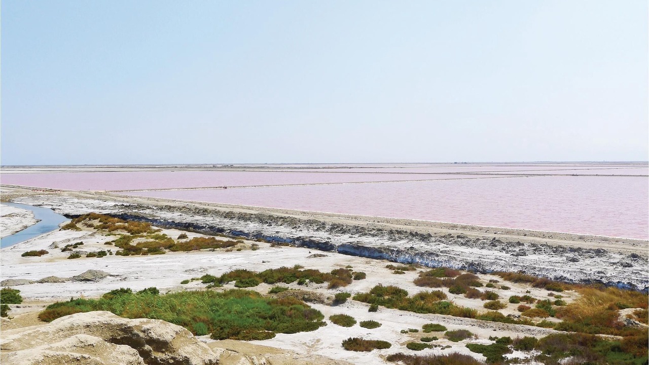 Photo of Others in Le Sambuc