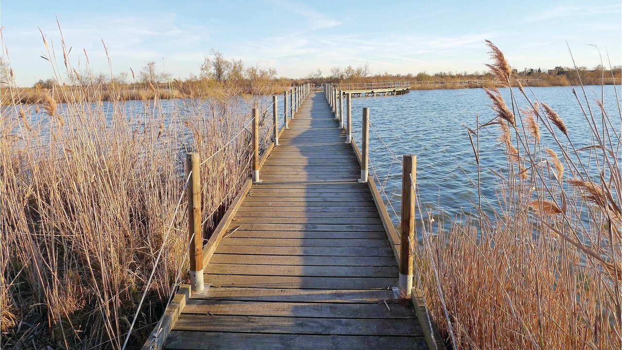 Photo of Others in Le Sambuc