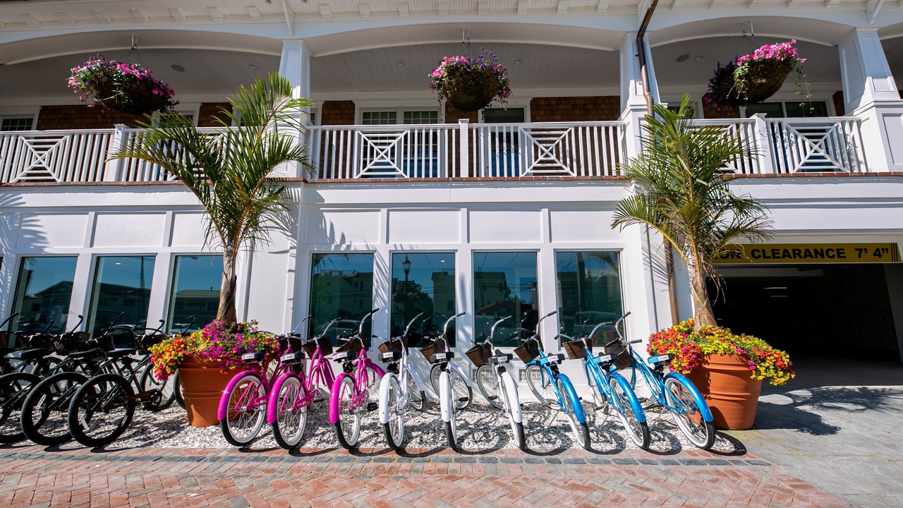 Photo of Outdoor in Ship Bottom