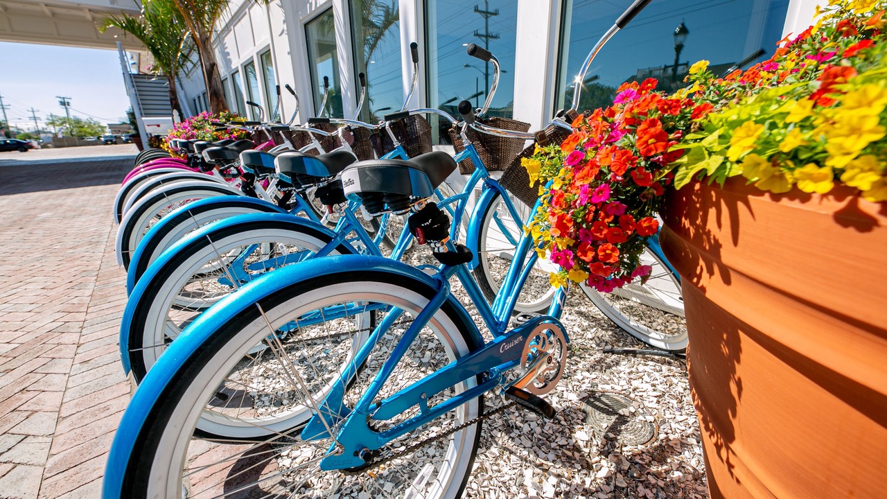 Photo of Outdoor in Ship Bottom