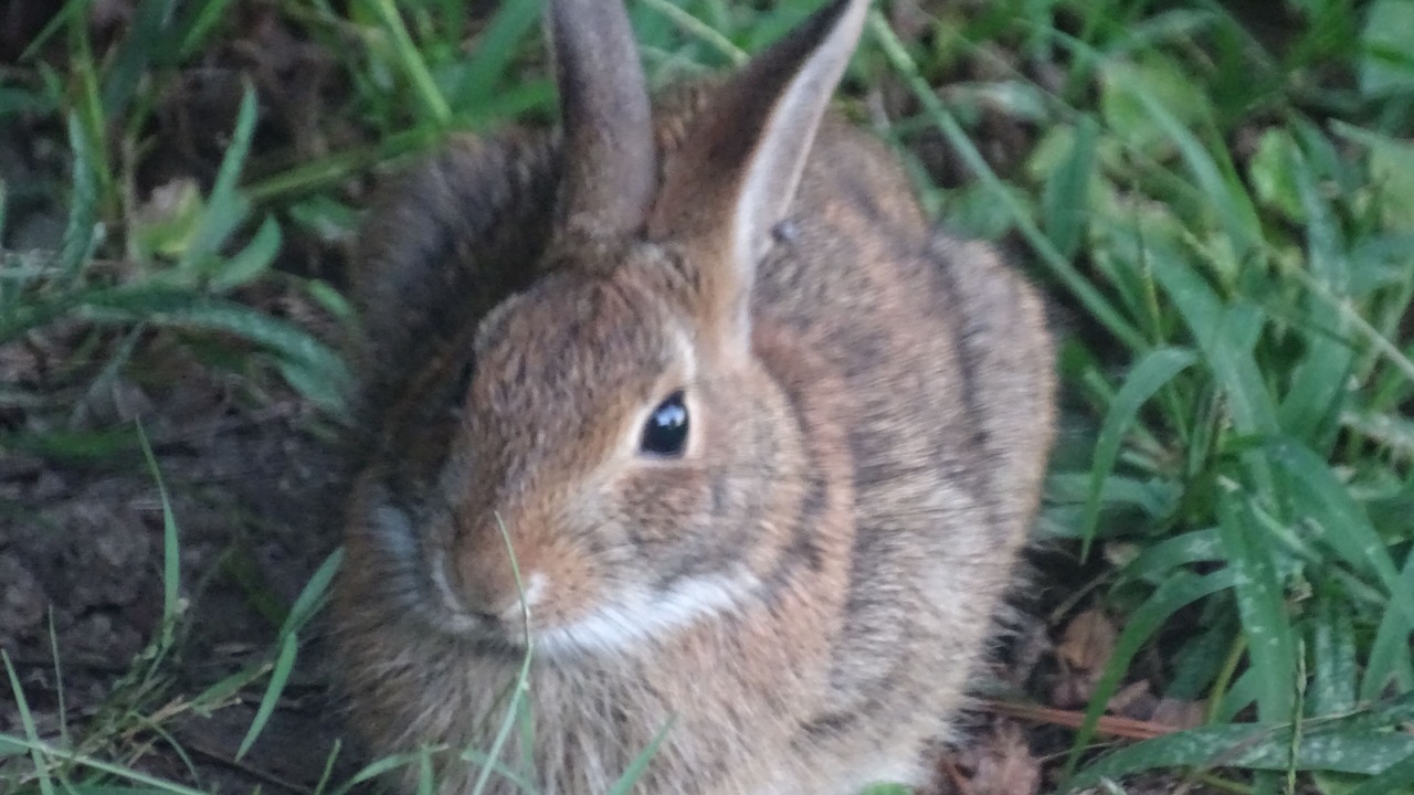 Photo of Outdoor in Kinsale