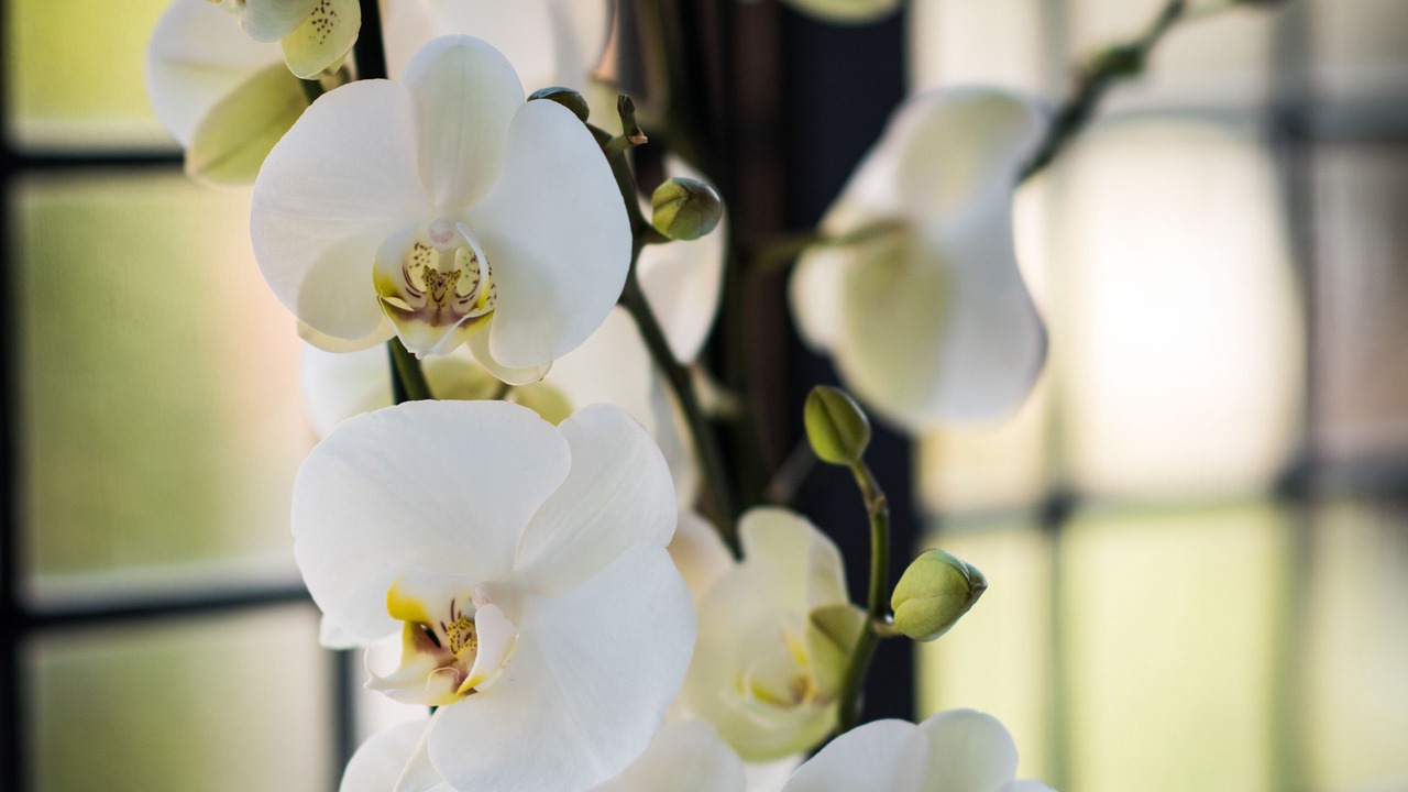 Photo of Others in Winchester