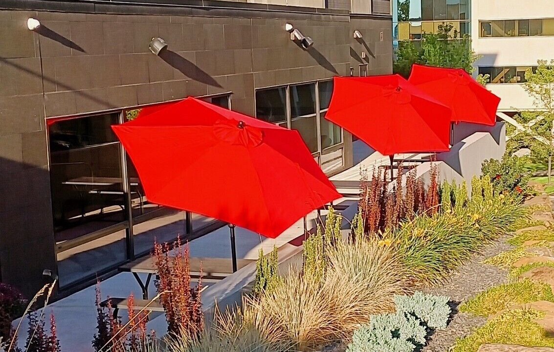 Photo of Patio Balcony in Cliff - Cannon