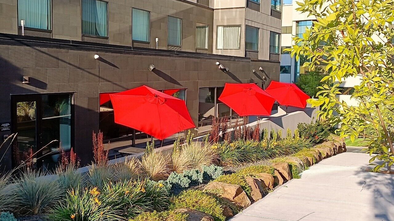 Photo of Patio Balcony in Cliff - Cannon