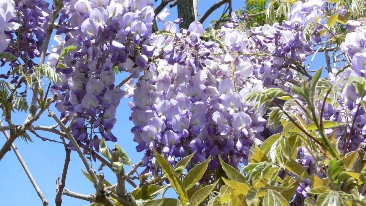 Photo of Outdoor in Aurillac
