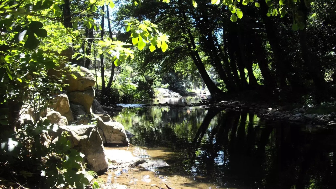 Photo of Others in Saint-Jean-de-Valeriscle