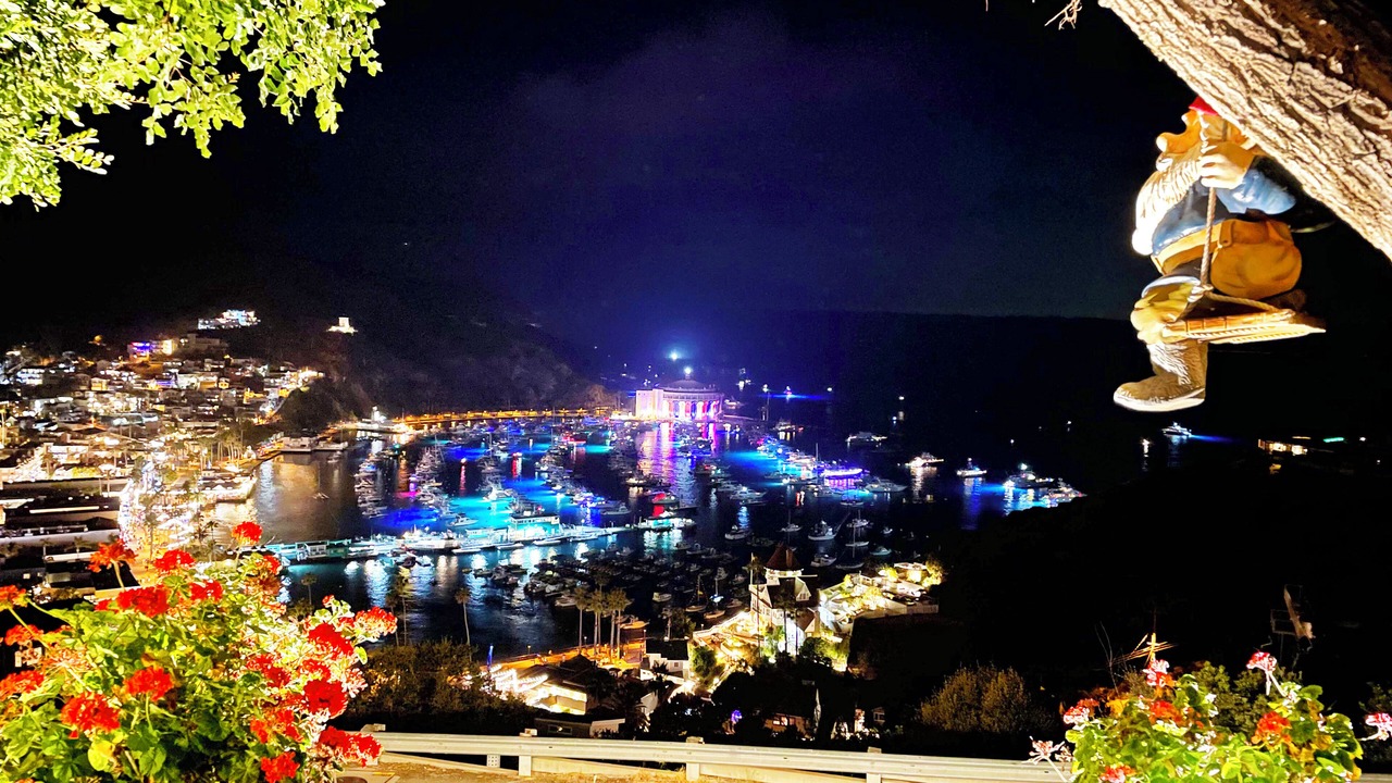 Photo of Outdoor in Avalon