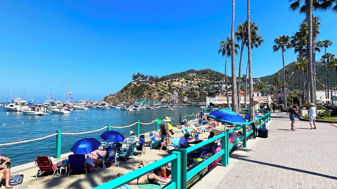 Photo of Others in Avalon