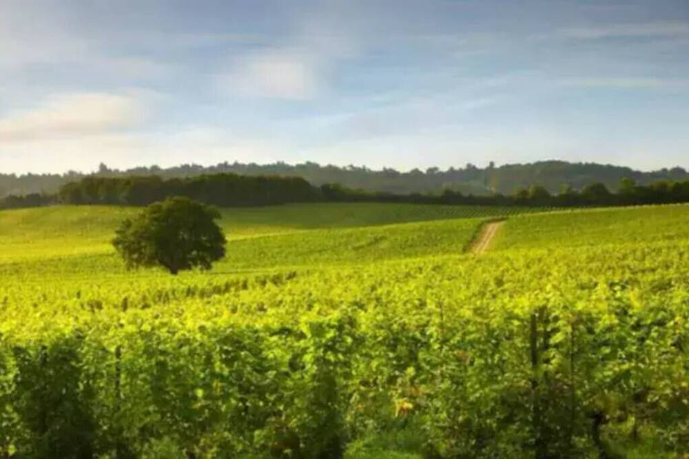 Photo of Others in Redhill