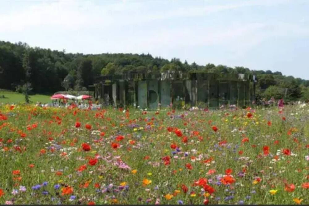 Photo of Others in Redhill