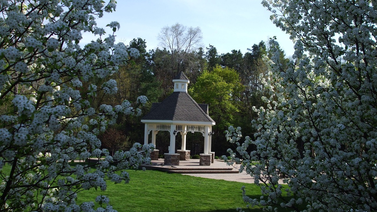 Photo of Outdoor in Gladwin