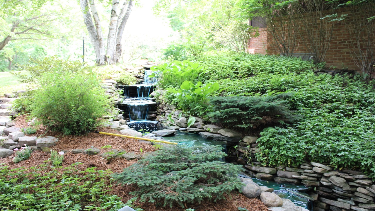Photo of Outdoor in Gladwin