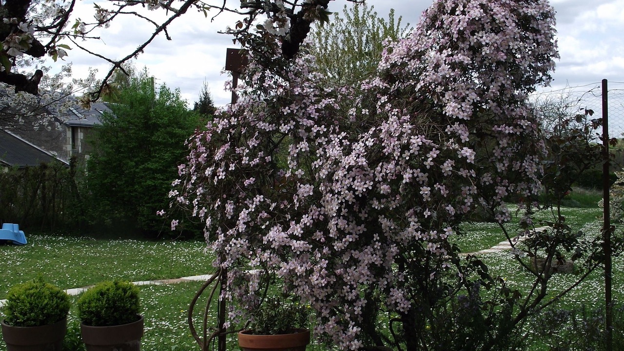 Photo of Outdoor in Cheille