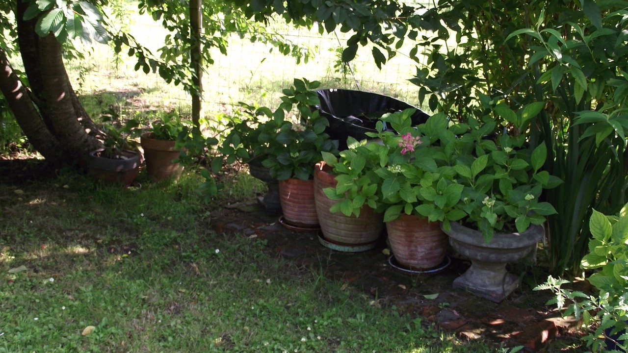 Photo of Outdoor in Cheille