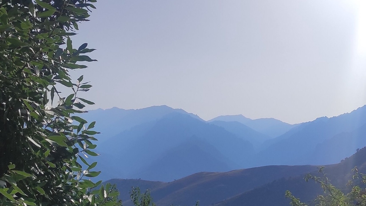 Photo of Outdoor in Santa-Lucia-di-Mercurio