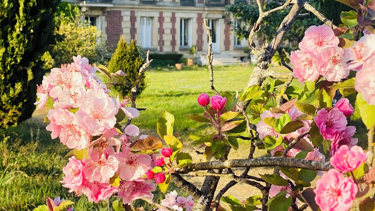 Photo of Outdoor in Chevrieres