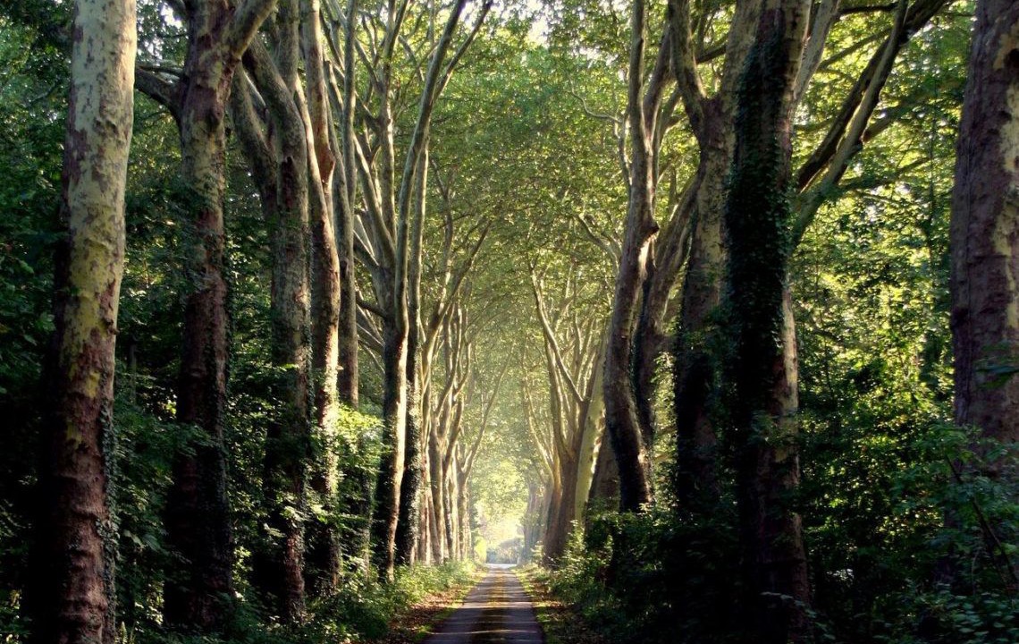 Photo of Outdoor in Chevrieres