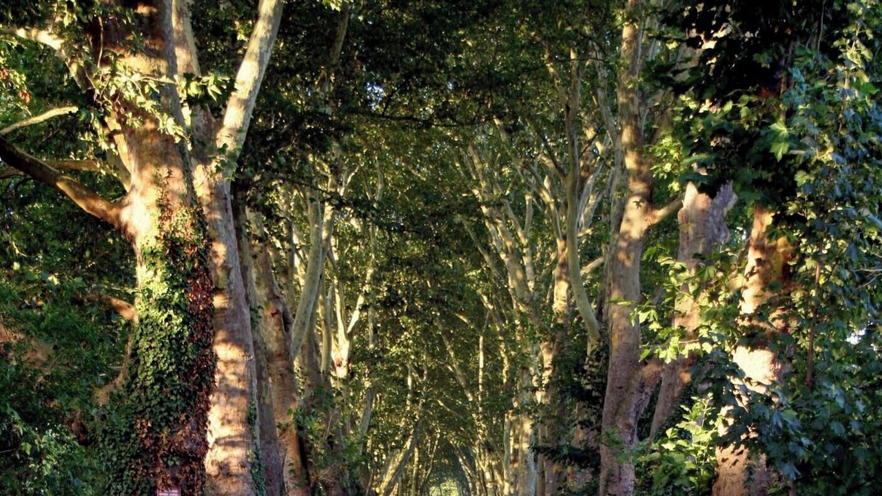 Photo of Outdoor in Chevrieres