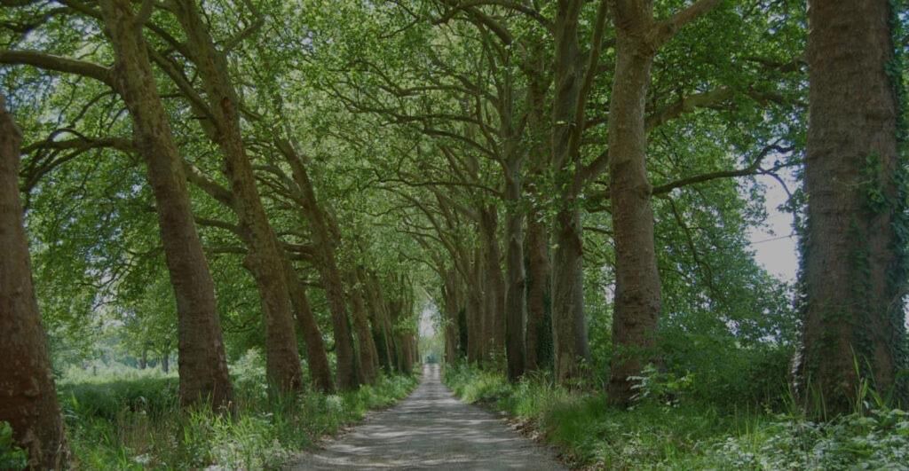 Photo of Outdoor in Chevrieres