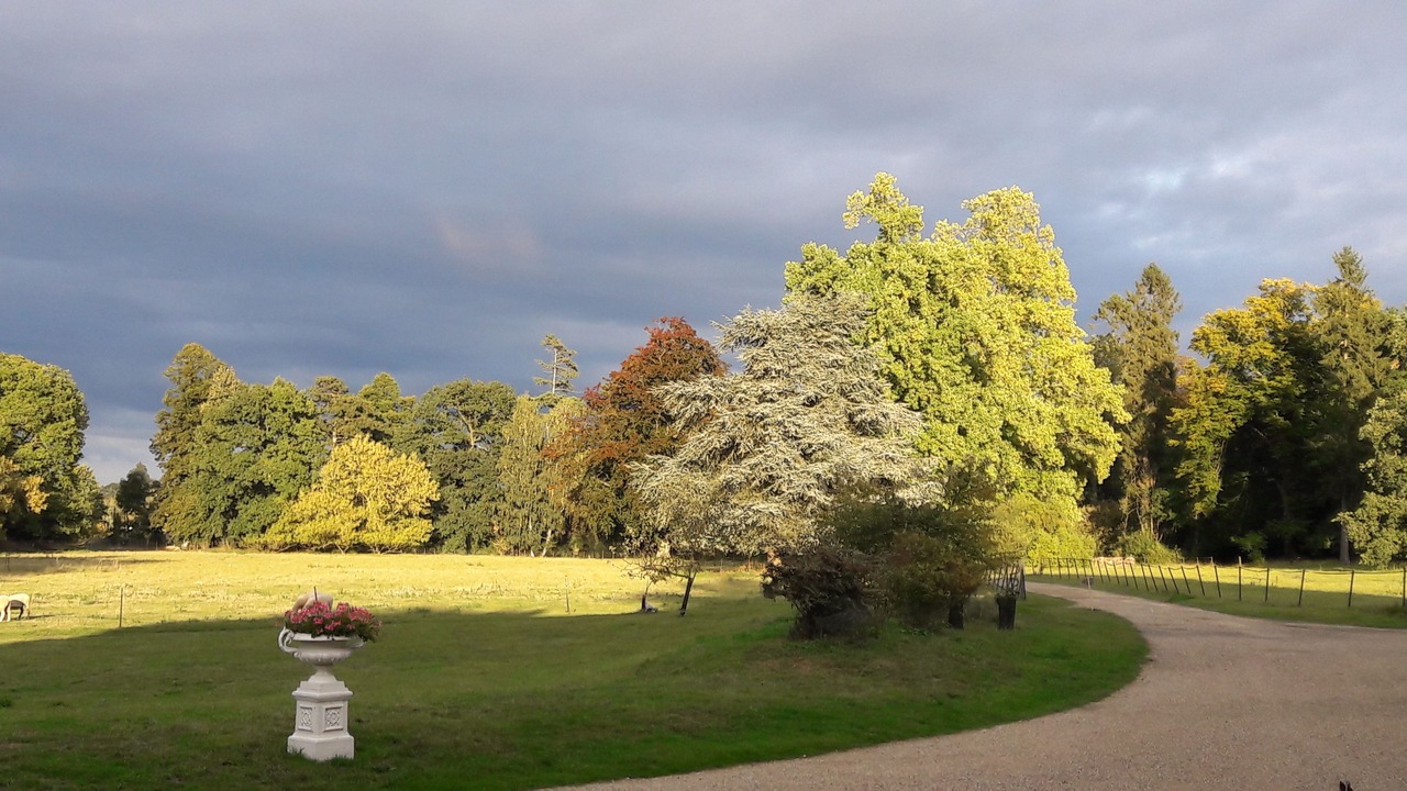 Photo of Bedroom in Chevrieres