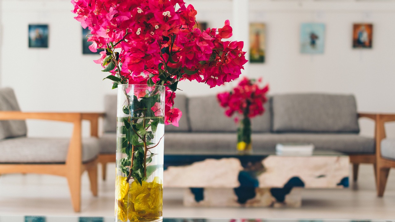 Photo of Others in Nettle Bay