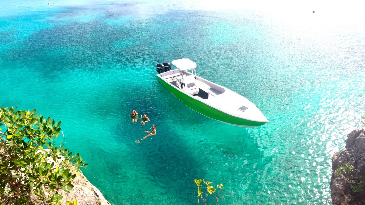 Photo of Others in Nettle Bay