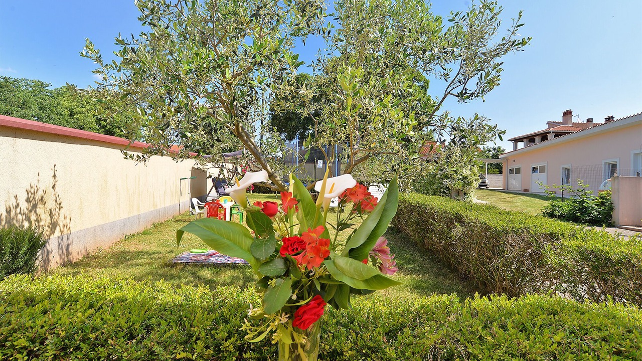 Photo of Outdoor in Skatari