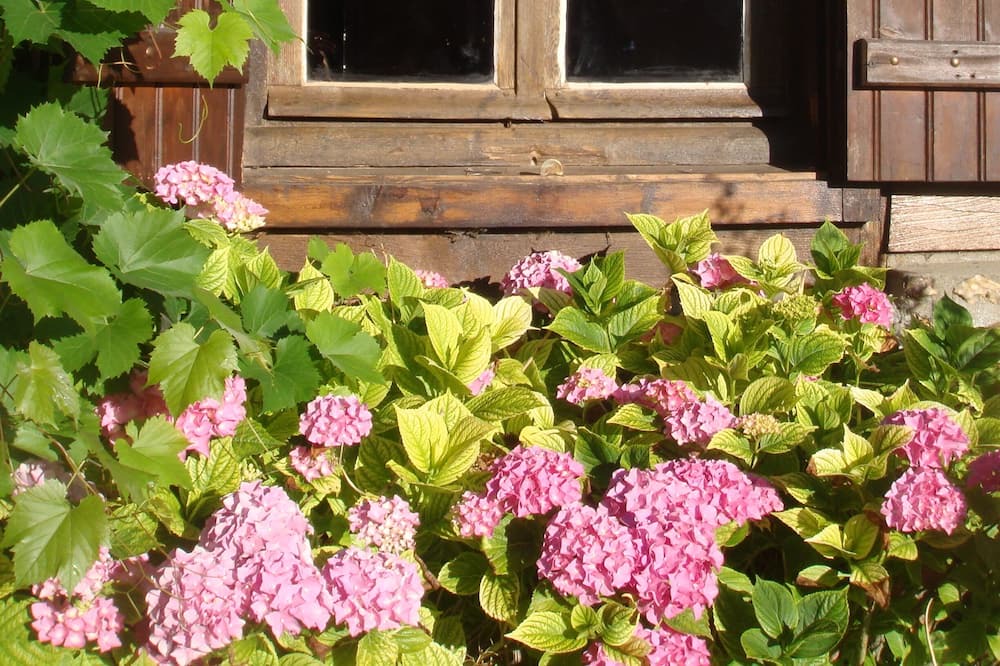 Photo of Outdoor in Saint-Philbert-sur-Risle