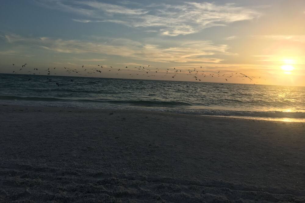 Photo of Others in Milford