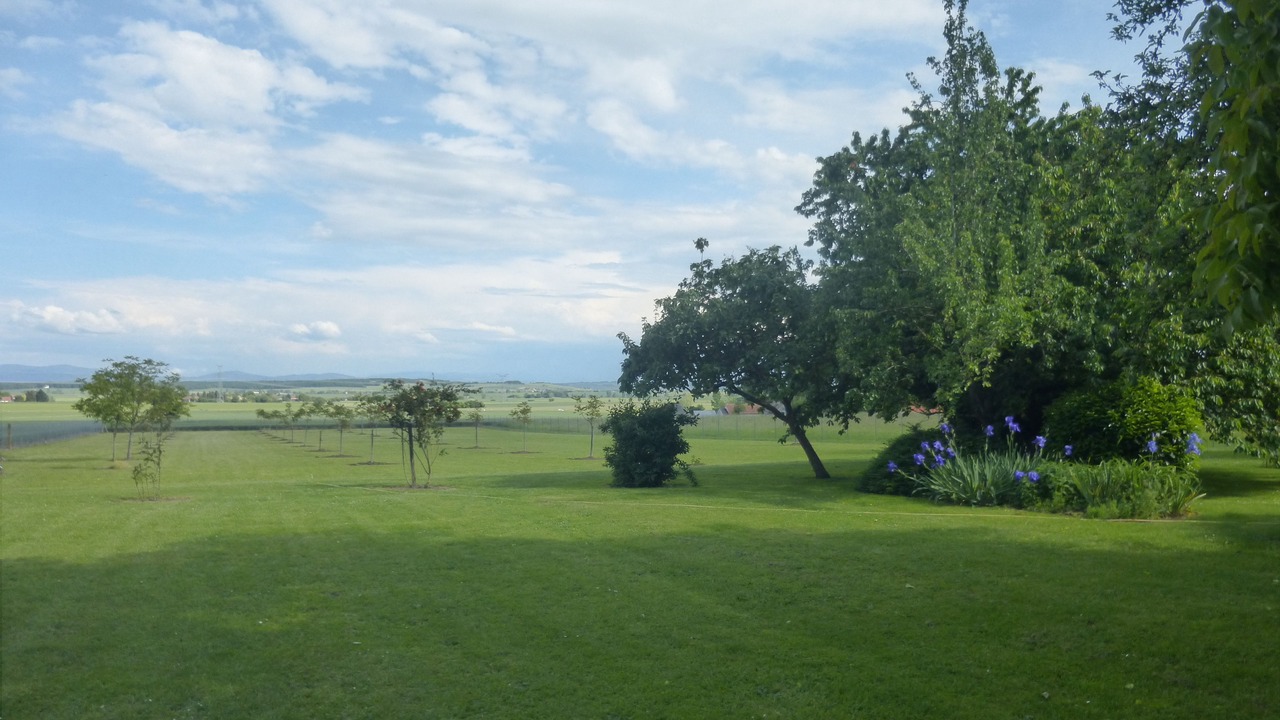 Photo of Outdoor in Effiat