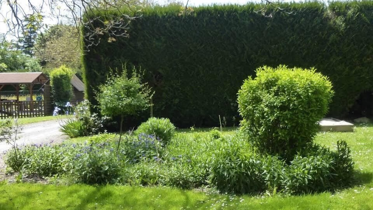 Photo of Outdoor in Effiat