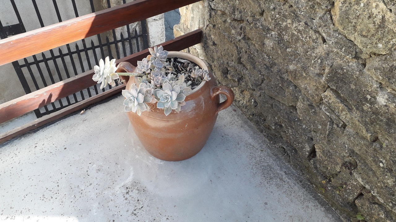 Photo of Outdoor in Cornillon