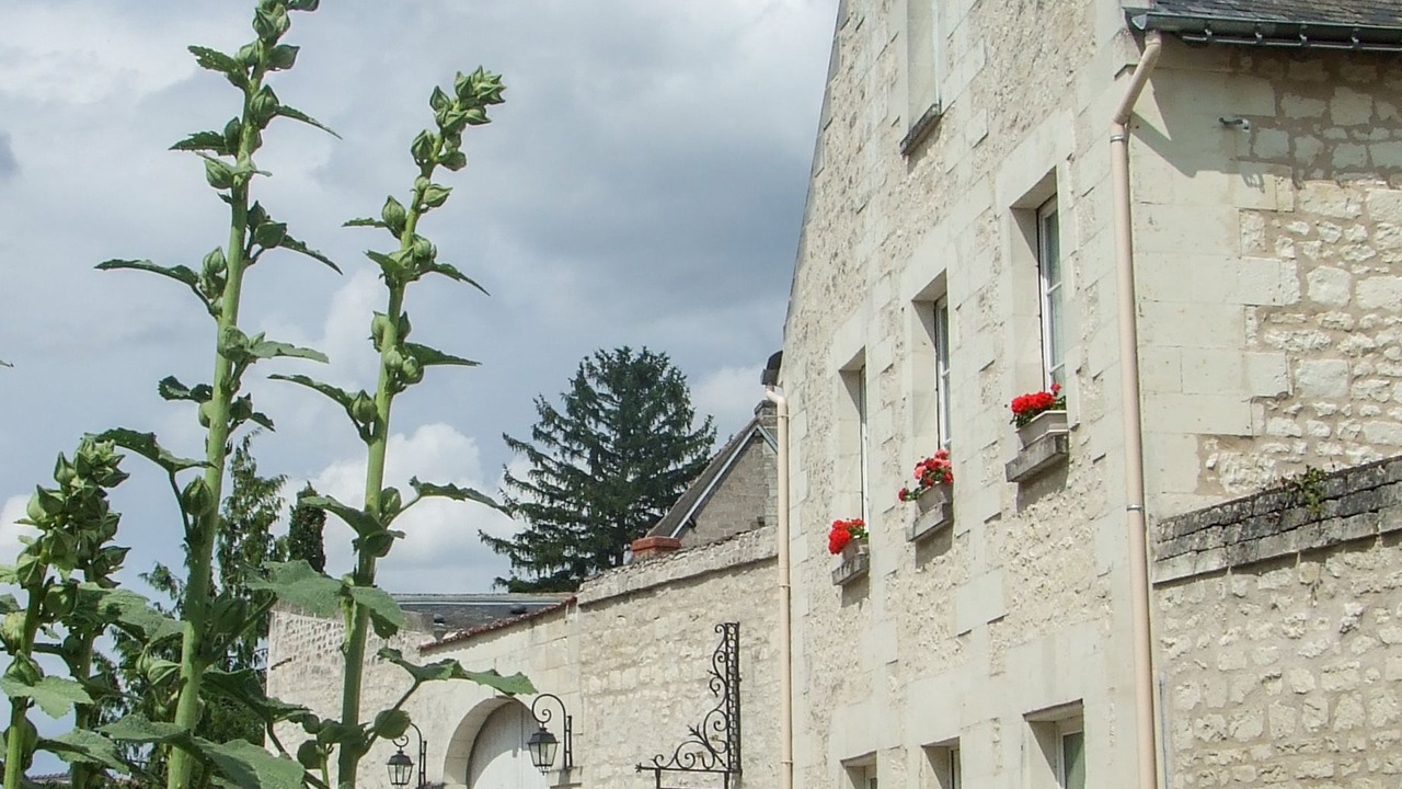 Photo of Outdoor in Ligre