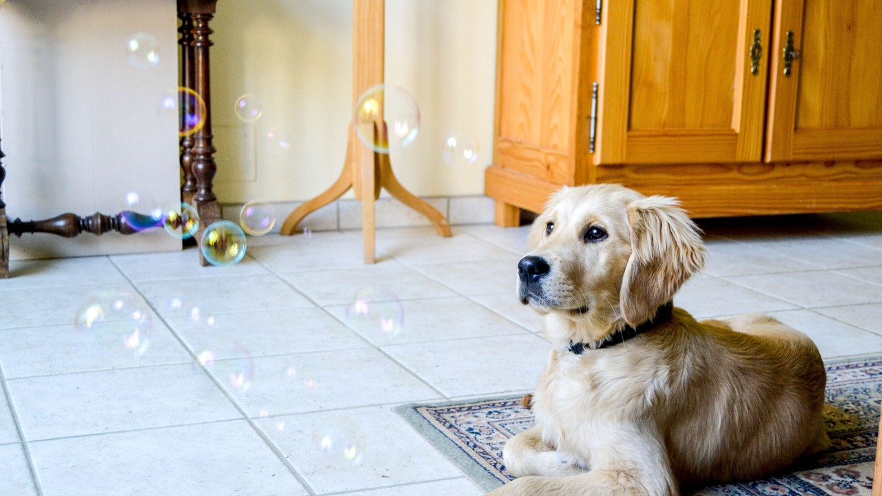 Photo of Others in Ligre