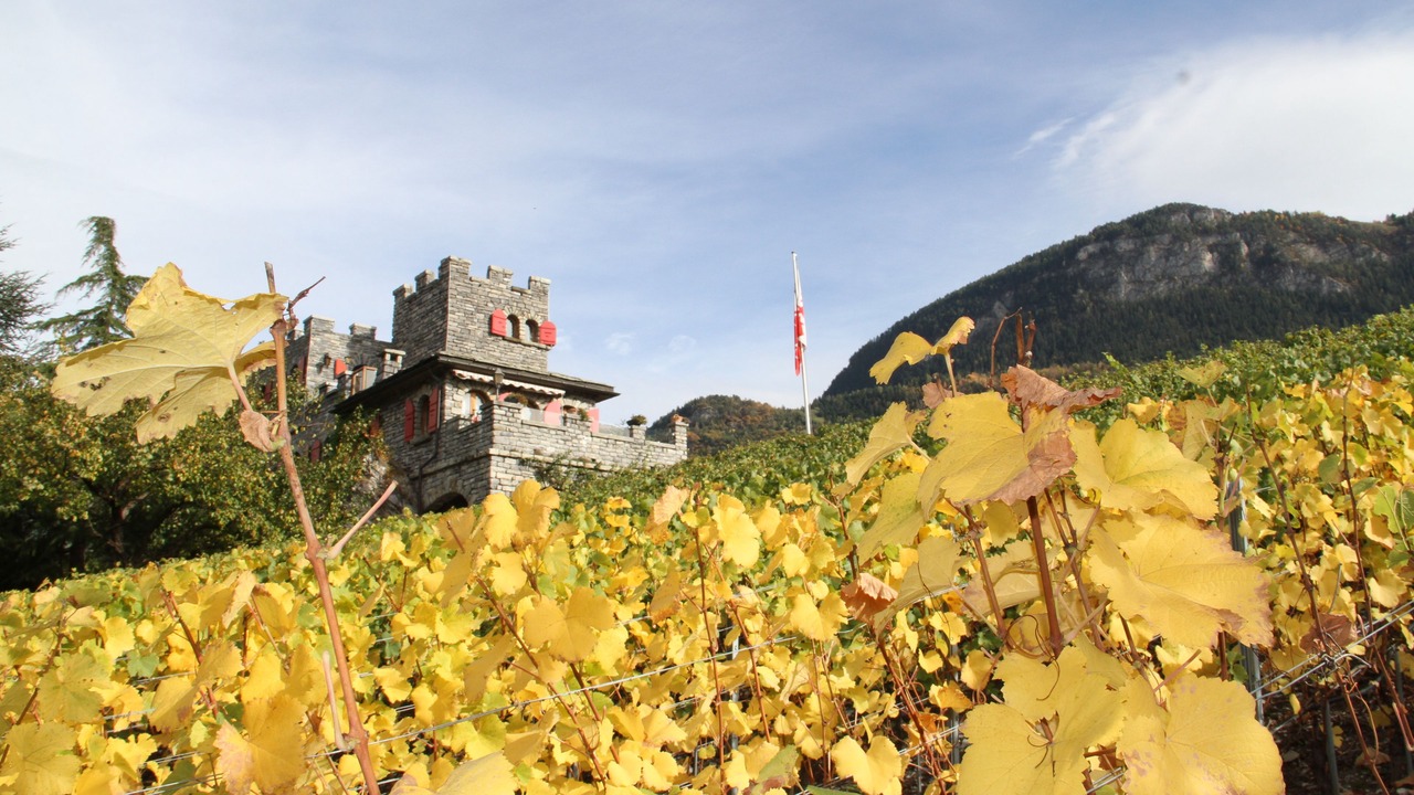 Photo of Outdoor in Sierre