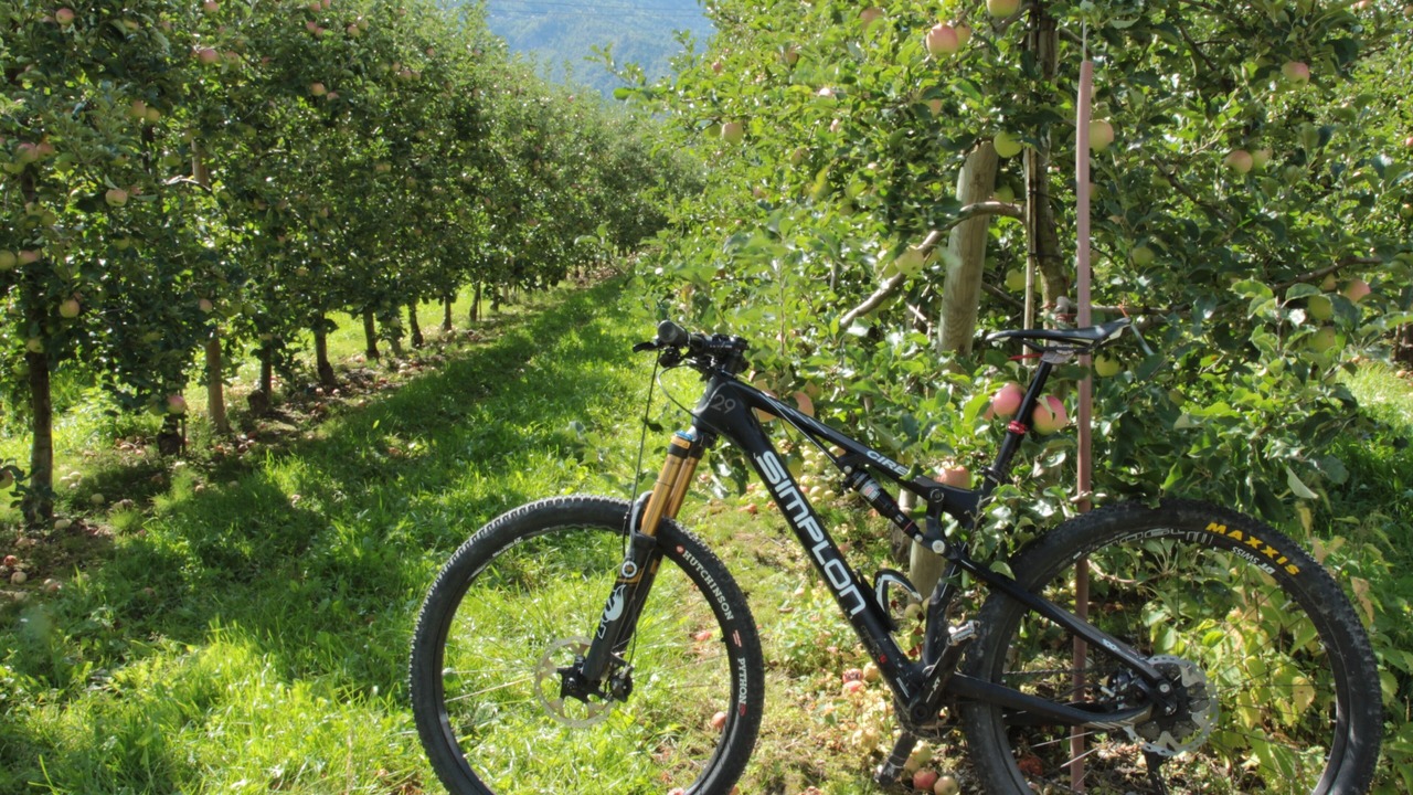 Photo of Outdoor in Sierre