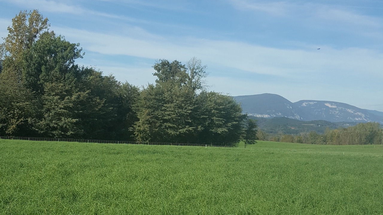 Photo of Outdoor in Belley