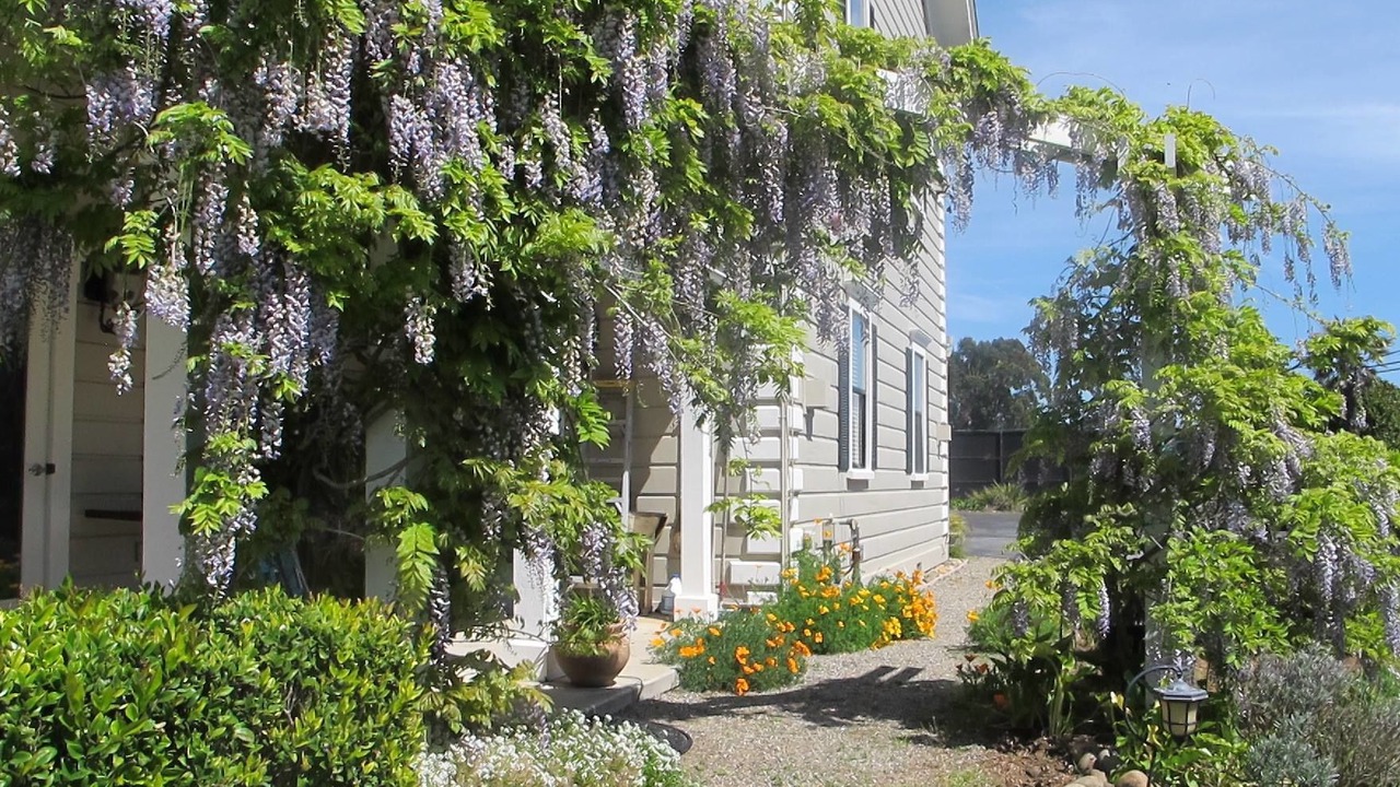Photo of Outdoor in La Selva Beach